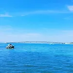 Marko - 100m To The Vir